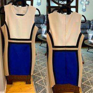 Calvin Klein Color Block Bodycon dress (12)